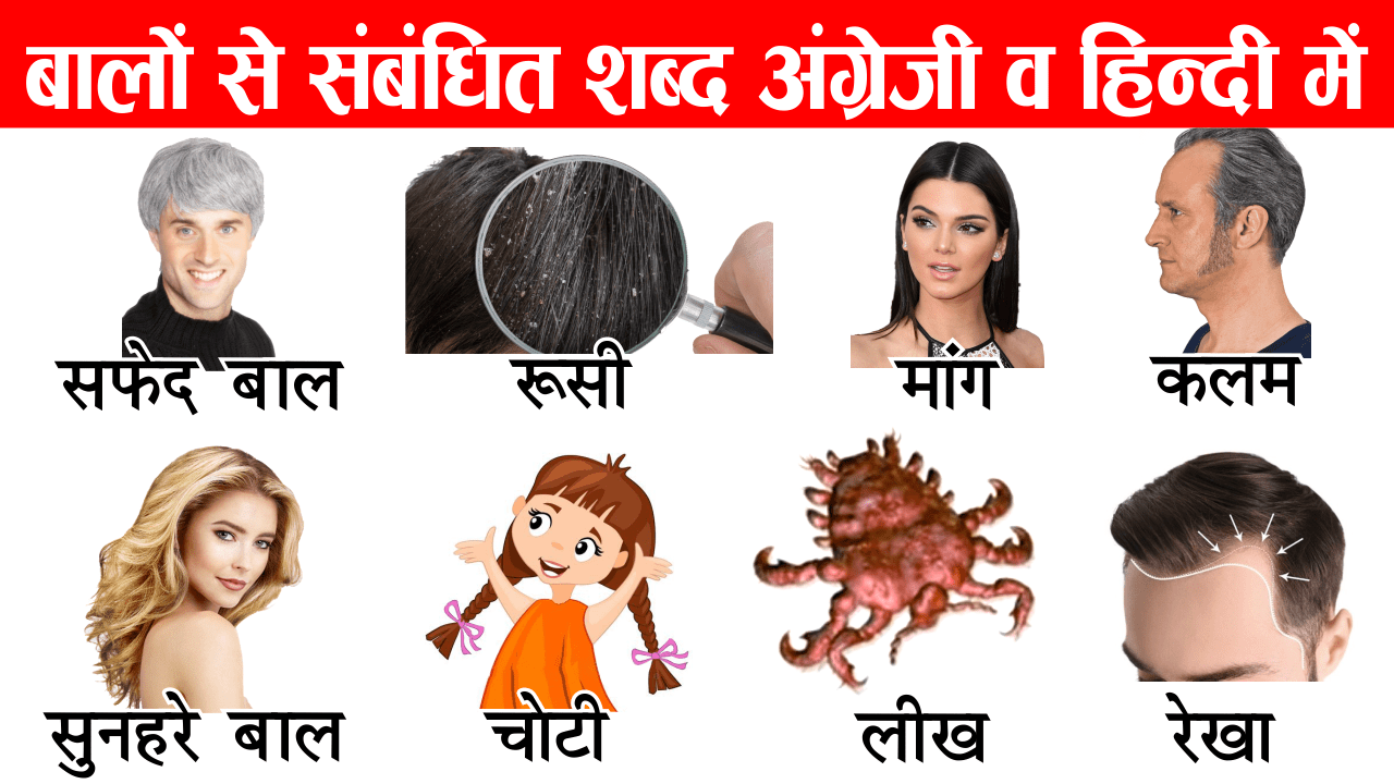 बाल बढ़ाने के घरेलु उपाय | Hair Growth Tips Hindi APK للاندرويد تنزيل