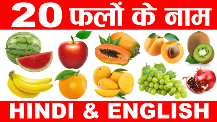 20 फलों के नाम इंग्लिश और हिन्दी में Learn Fruits Name In Hindi and English 20 falo ke naam-min