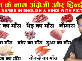 Meat names in english and hindi with pictures English Vocabulary Daily Use Word Meaning-compressed